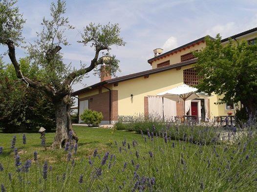 Отель Agriturismo Anna Caterina Кастельнуово-дель-Гарда Экстерьер фото