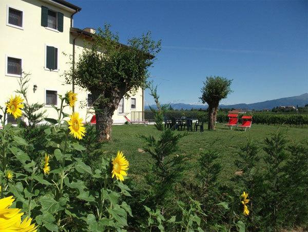 Отель Agriturismo Anna Caterina Кастельнуово-дель-Гарда Экстерьер фото